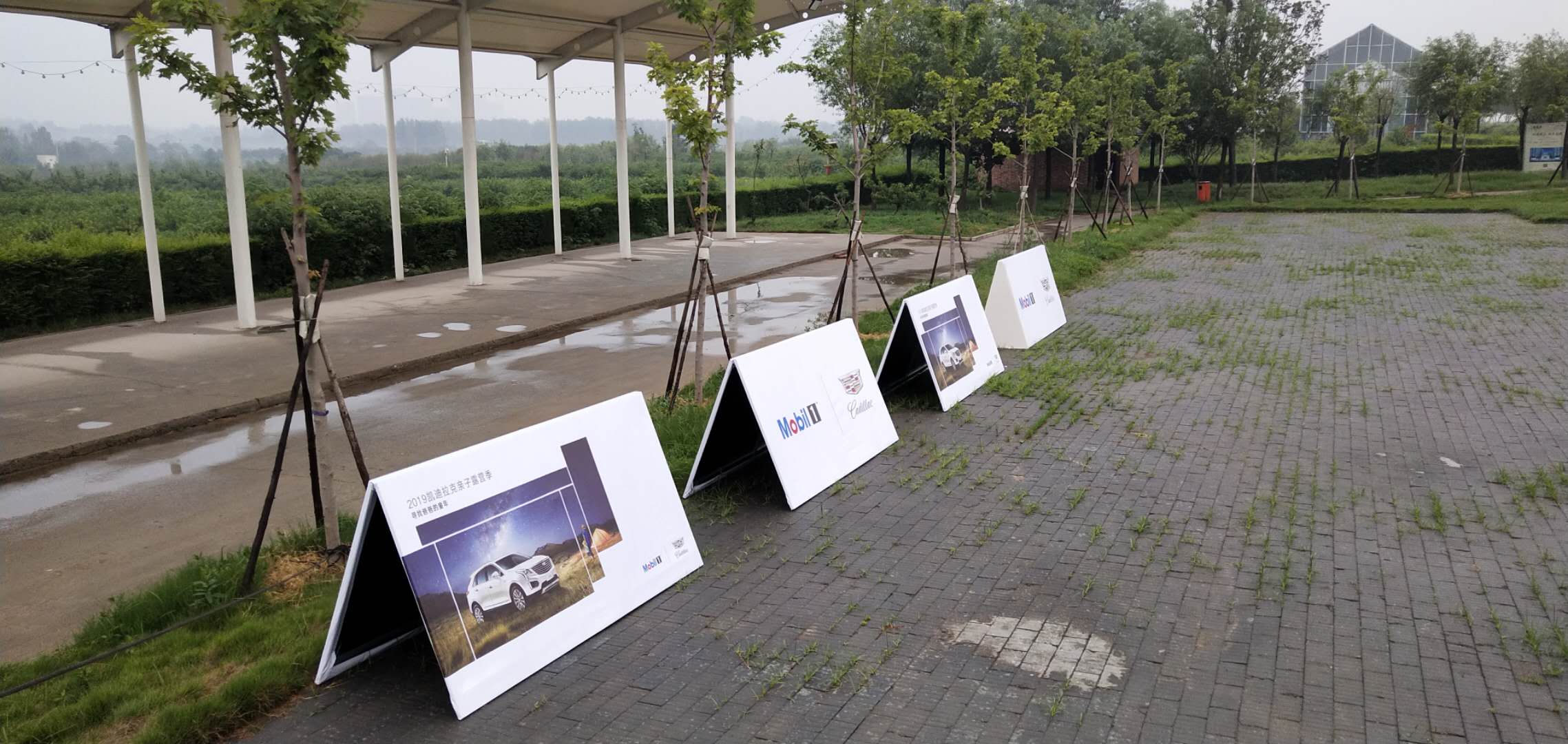 微信图片_202004051153025